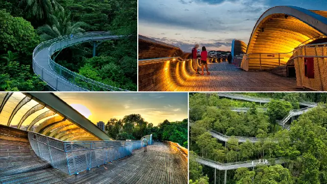 14-Underrated-Southern-Ridges-Trail-Singapore