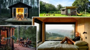 Digital Detox Cabins: Can You Survive a Tech-Free Weekend in Helsinki?