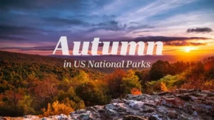 Skip the Summer Crowds: Your Guide to an Affordable Autumn Adventure in US National Parks